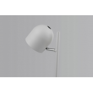 Metal Floor LED Lamp