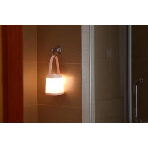 2017 Newly Portable LED Lamp