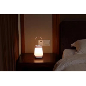 2017 Newly Portable LED Lamp