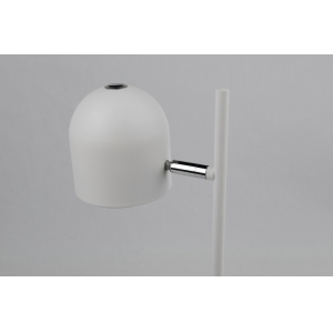 Metal Floor LED Lamp