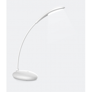 Rechargeable flexible neck LED reading light